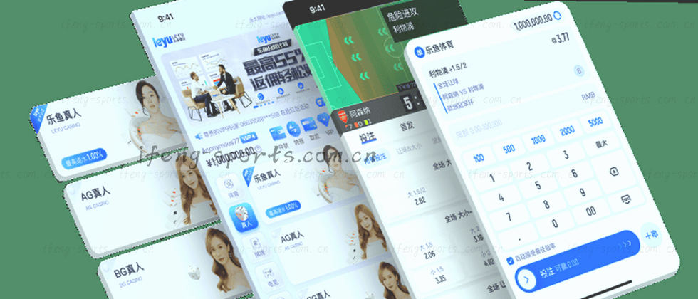 平衡透明与保护的隐私边界